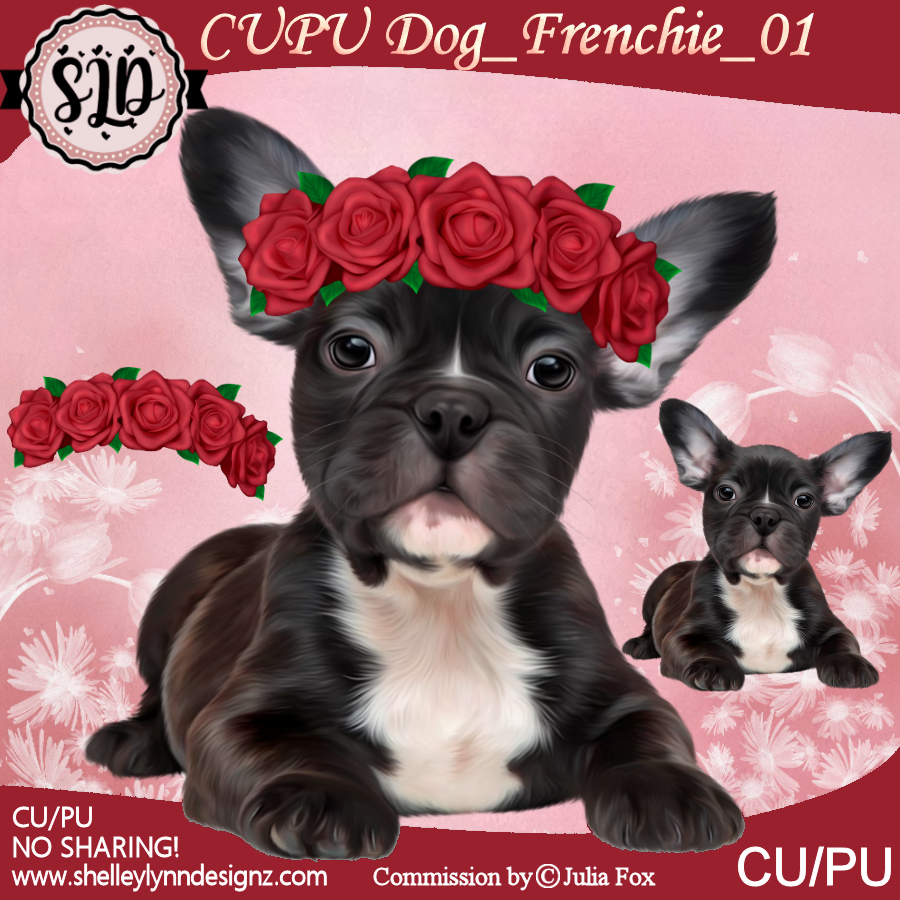 SLD_CUPU_Dog_Frenchie_01 - Click Image to Close